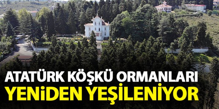 Atatürk Köşkü Ormanı yeniden yeşilleniyor