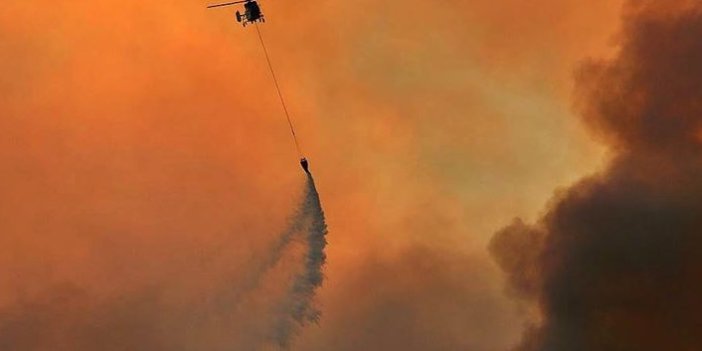 Adana'da orman yangını durdurulamıyor
