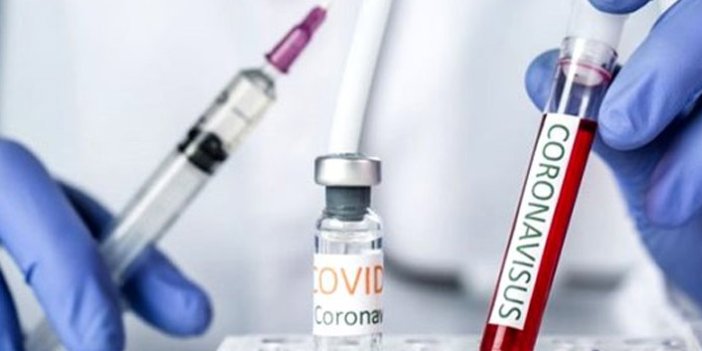 Koronavirüs aşısı ile ilgili heyecanlandıran haber! Aynı sonucu verdi