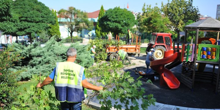 Samsun'da parklar yenileniyor