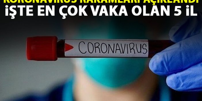 Günlük koronavirüs rakamları açıklandı! İşte en çok hasta bulunan 5 il