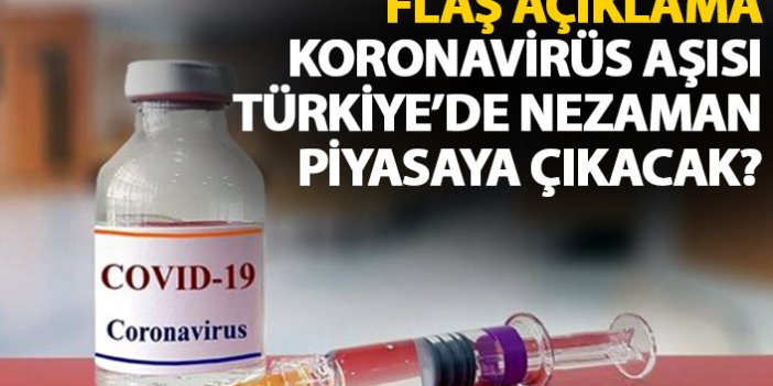 Koronavirüs aşısı Türkiye'de ne zaman piyasaya sürülecek? Açıklama geldi
