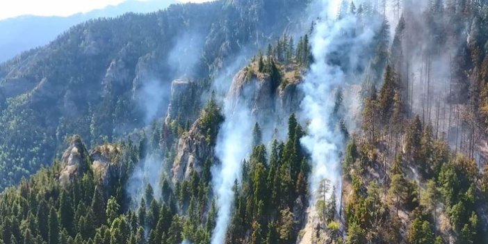 Doğu Karadeniz'de orman yangını 8 gün sonra söndürüldü