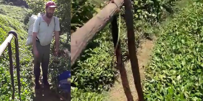 Çay bahçesine giren 2 metrelik yılanı öldürdü