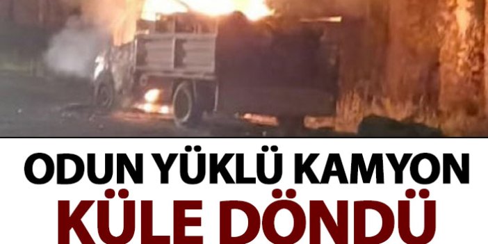 Trabzon'da odun yüklü kamyon küle döndü