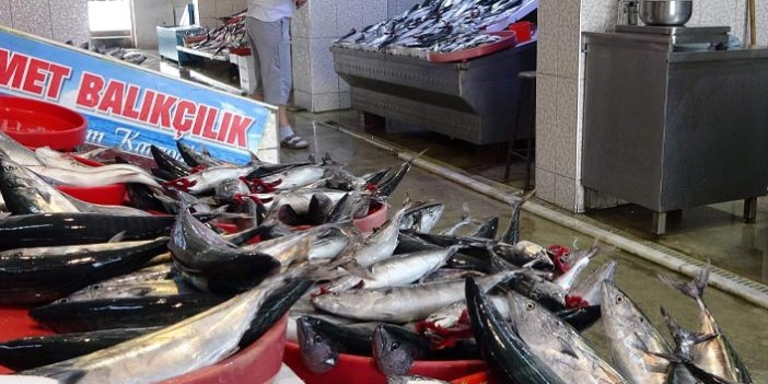 Trabzon'da balık fiyatları nasıl?