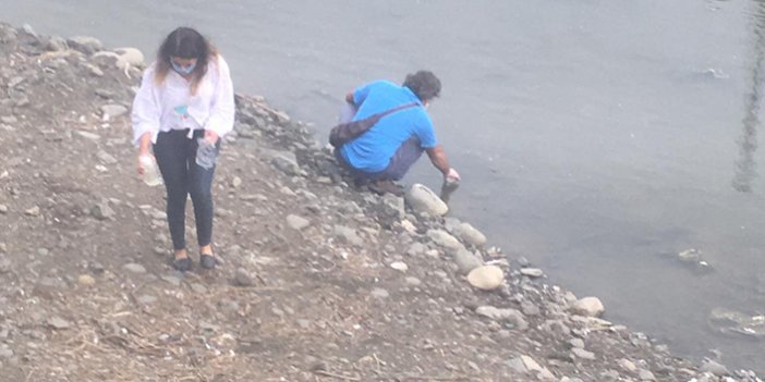 Trabzon’da derede etrafa saçılan ölü balıklar endişe yarattı