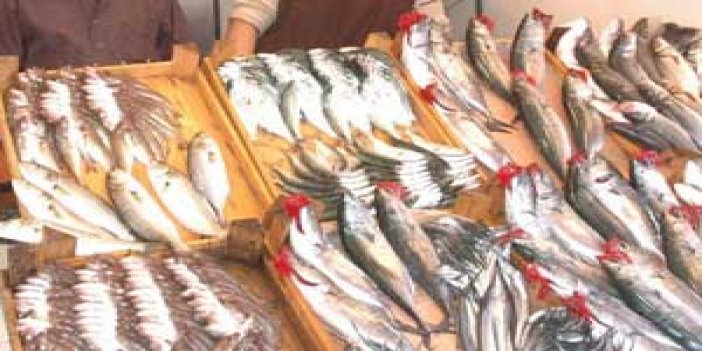 Akçaabat'ta balık ölümleri