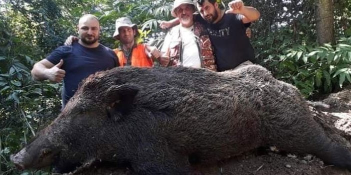 Trabzon'da avcıların avladığı domuzun büyüklüğü korkuttu