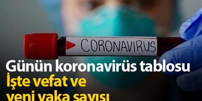Türkiye'de günün koronavirüs raporu - 30.09.2020