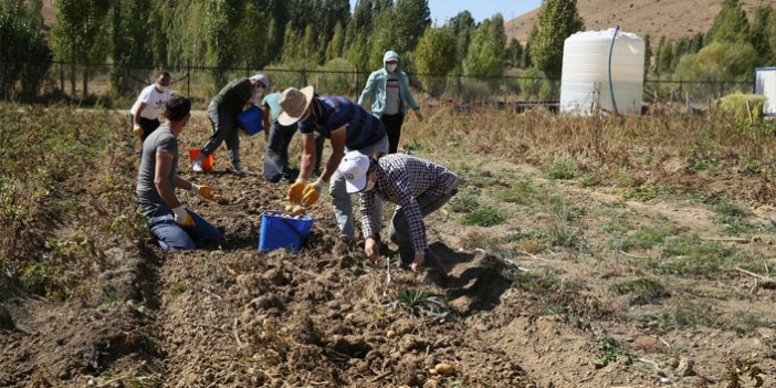 Bayburt Üniversitesinde tarım seferberliğinin meyveleri toplanıyor