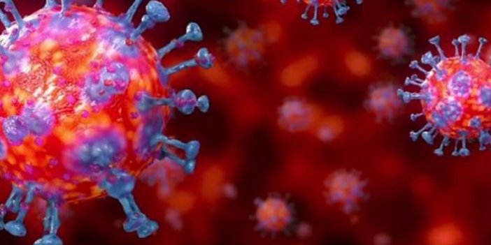 Koronavirüs dünya genelinde 35 Milyonu geçti