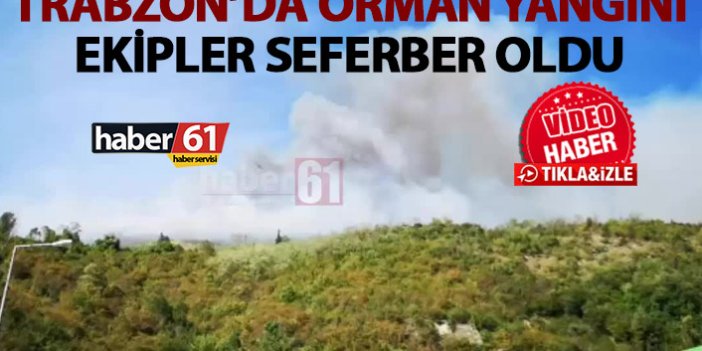 Trabzon'da orman yangını ekipler seferber oldu!