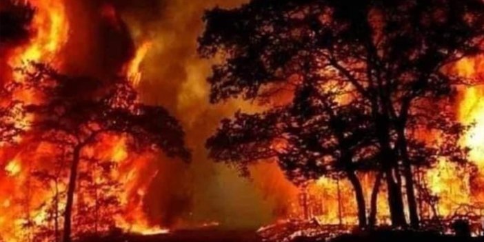 Suriye’deki orman yangınında ölü sayısı 3'e yükseldi