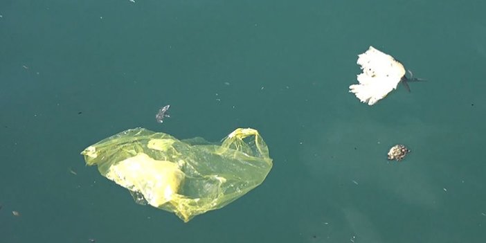 Karadeniz'de deniz çöpü tehlikesi
