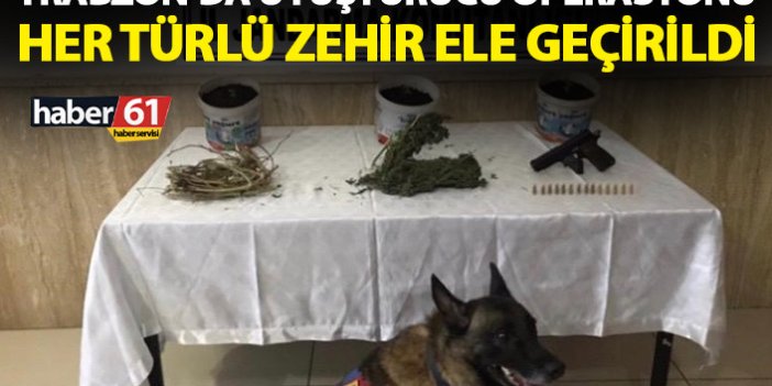 Trabzon’da uyuşturucu operasyonu! Her türlü zehir ele geçirildi