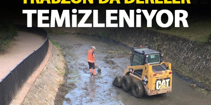 Trabzon'da dereler temizleniyor