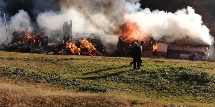 Trabzon'da yayladaki yangın 5 evi kül etti