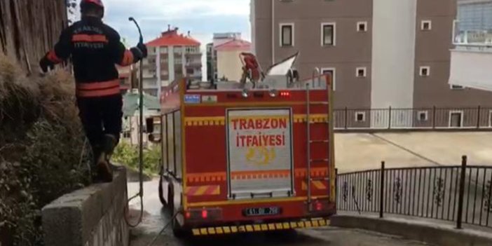 Trabzon'da İki duvar arasına sıkışan köpeği itfaiye kurtardı