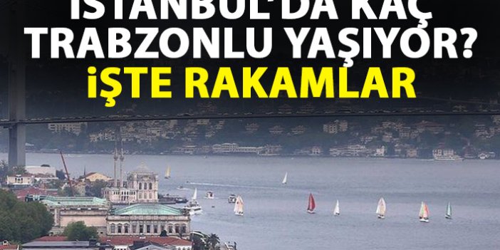 İstanbul'da kaç Trabzonlu yaşıyor? İşte rakamlar