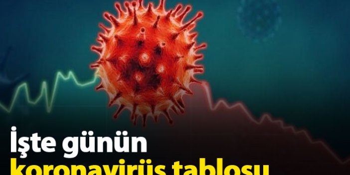 Türkiye'de günün koronavirüs raporu 23.10.2020