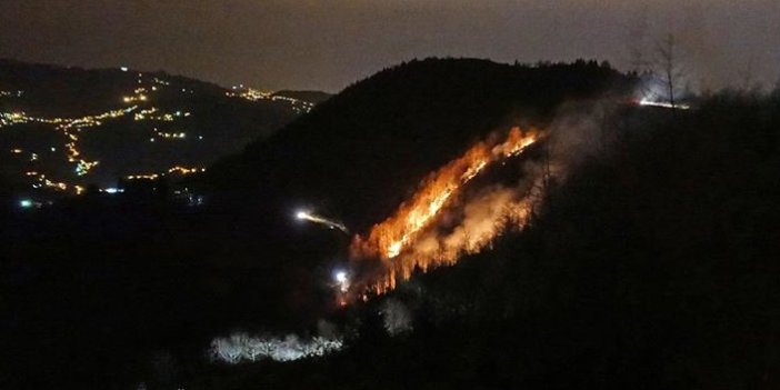 Trabzon'da iki farklı noktada yangın