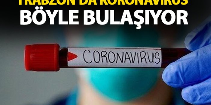 Trabzon'da koronavirüs böyle bulaşıyor! Uyarı geldi!