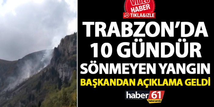 Trabzon’da 10 gündür sönmeyen örtü yangını! Başkandan açıklama geldi