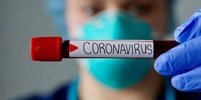 Koronavirüs araştırmalarında bir ilk