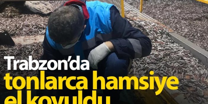 Trabzon'da tonlarca hamsiye el koyuldu