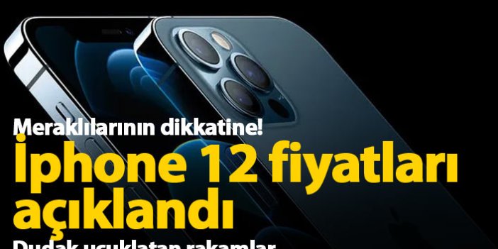 iPhone 12 Türkiye fiyatı ne kadar? 4 seçenek var...