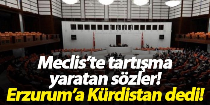 Meclisi karıştıran sözler! Erzurum'a Kürdistan dedi!