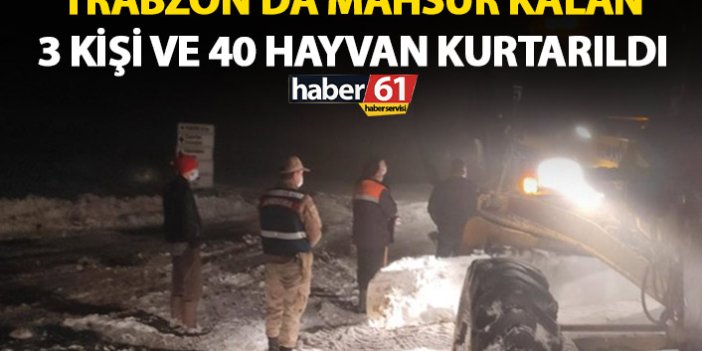 Trabzon’da karda mahsur kalan 40 hayvan kurtarıldı