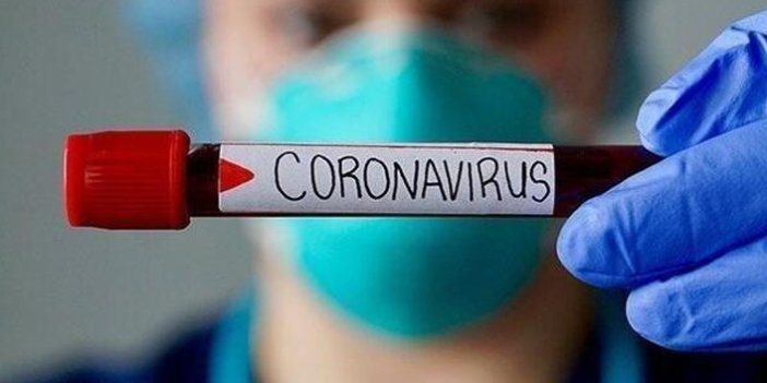 Koronavirüs bitmeden bir başka salgın baş gösterdi