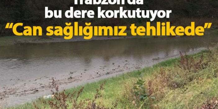 Trabzon'da bu dere korkutuyor! "Can sağlığımız tehlikede..."