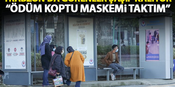 Trabzon'da koronavirüs uyarısı yapan ekrana ilgi: Ödüm koptu