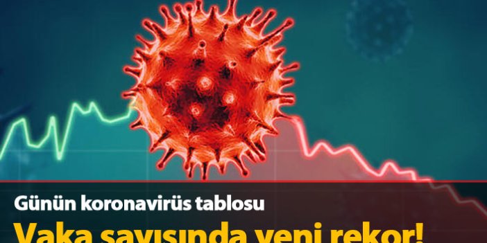 Türkiye'de günün koronavirüs raporu 02.12.2020