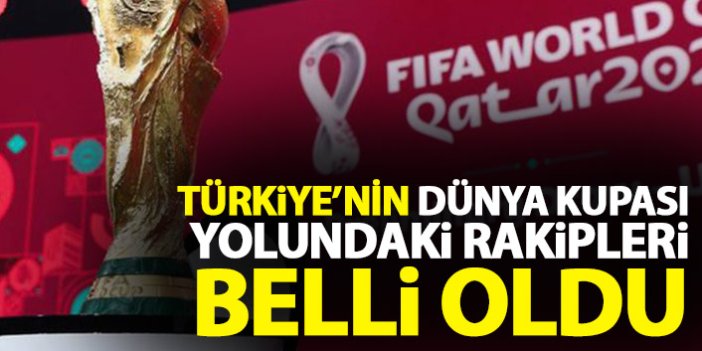 Türkiye'nin Dünya Kupası yolundaki rakipleri belli oldu