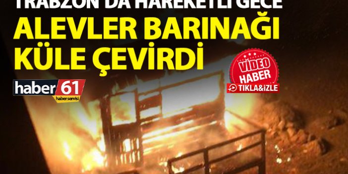 Trabzon'da hareketli gece! Yangın barınağı kül etti