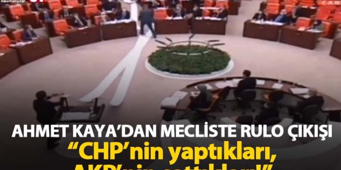 Ahmet Kaya'dan mecliste rulo çıkışı