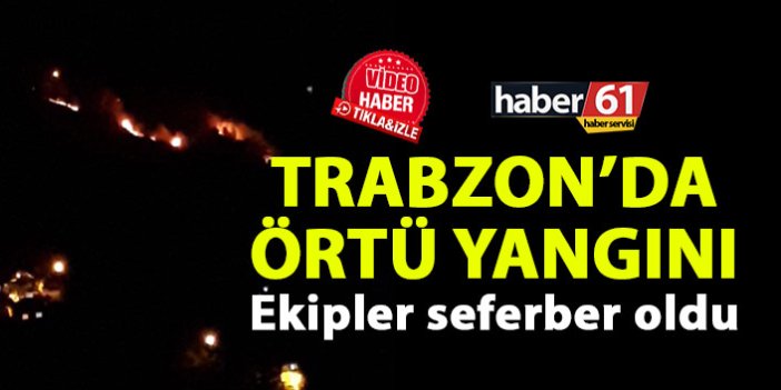 Trabzon'da örtü yangını! Ekipler seferber oldu