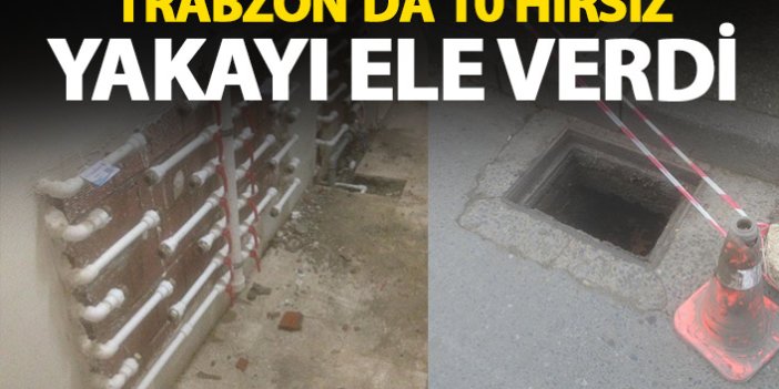 Trabzon’da 10 hırsız yakalandı