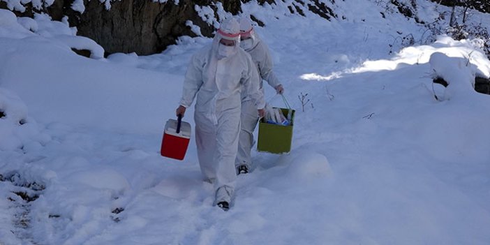 Trabzon'da filyasyon ekipleri karda da virüsün izini sürüyor