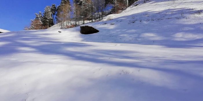 Artvin’de kardan kapalı yollar ulaşıma açıldı