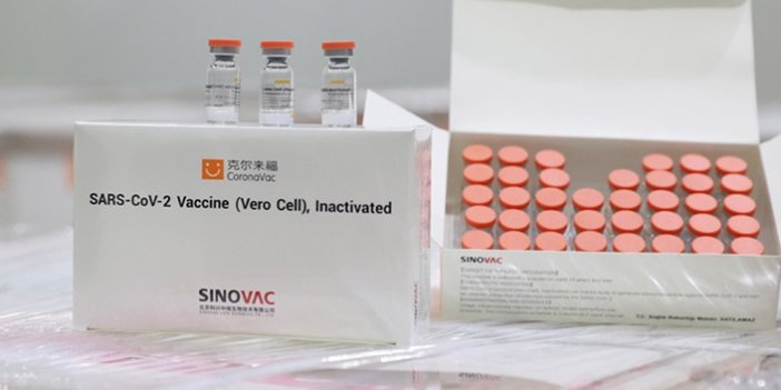 Çin aşısı geldi! Süreç başladı