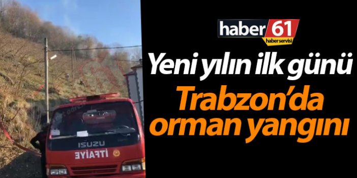 Trabzon'da yeni yılın ilk gününde orman yangını
