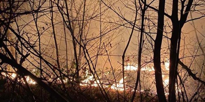 Trabzon'da örtü yangını çıktı