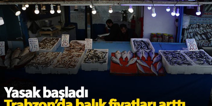 Trabzon'da yasak balık fiyatlarını arttırdı