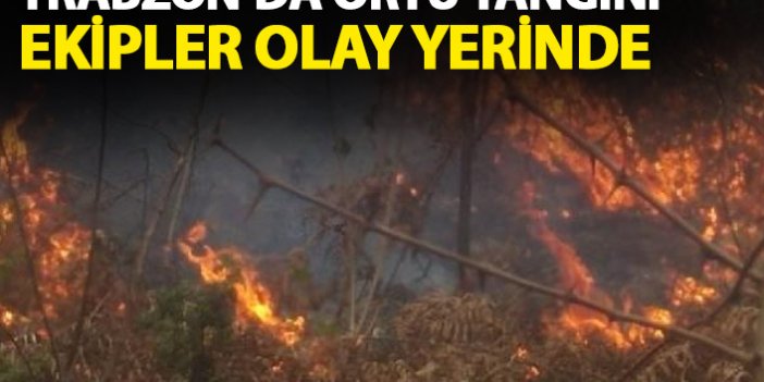 Trabzon'da ormanda yangın! Ekipler olay yerinde