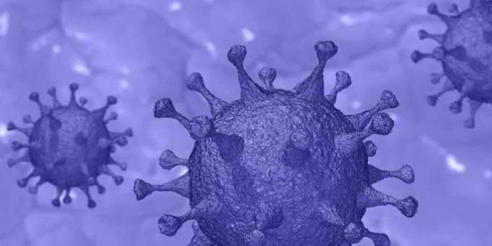 3 ülkede daha mutasyonlu virüse rastlandı